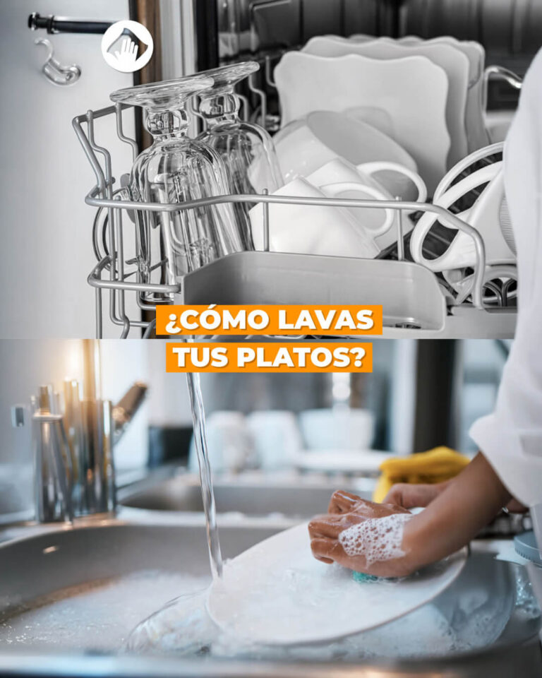 DAFESA-Diciembre-2025-S-10